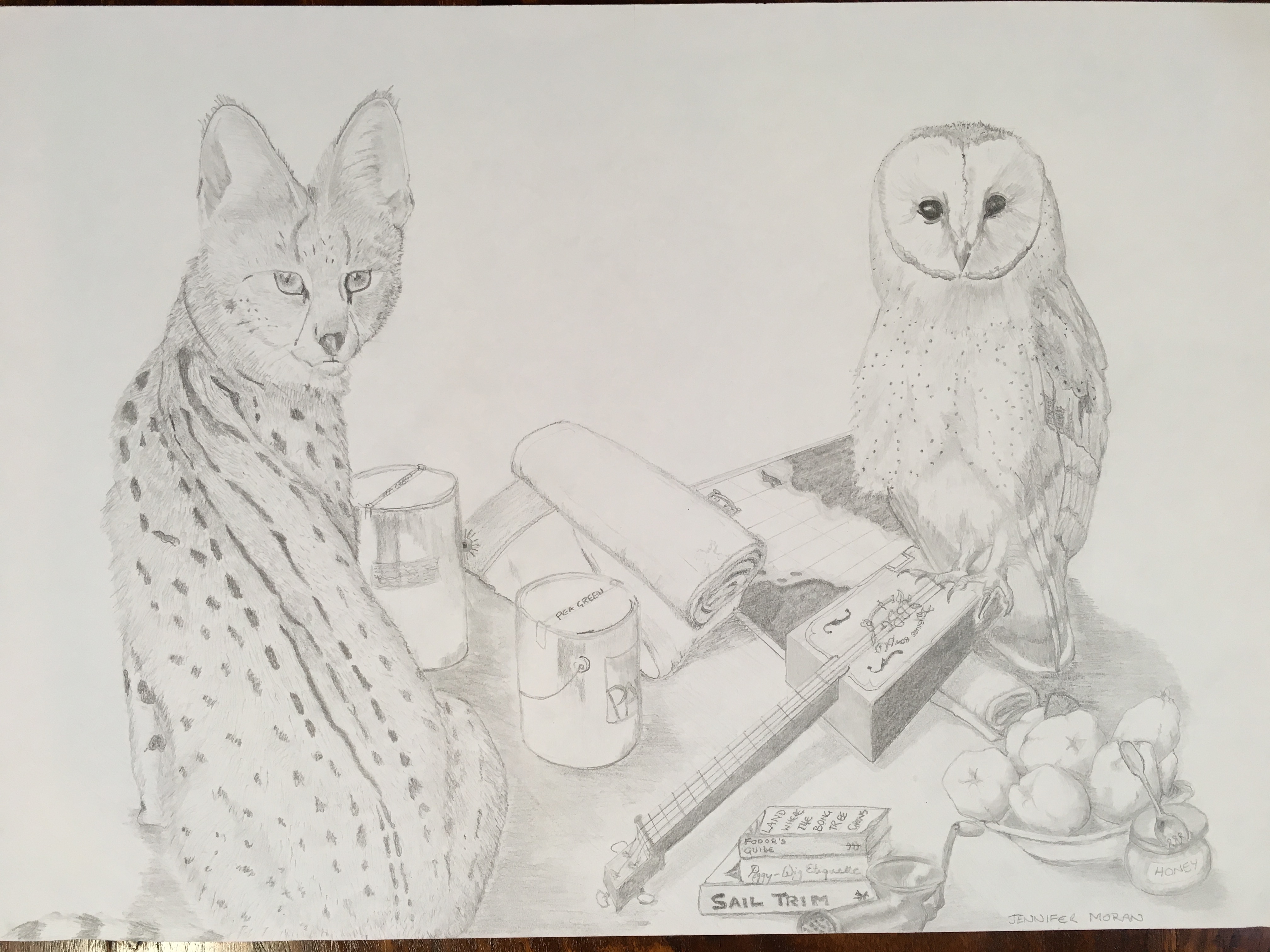 The Owl and the Pussy-cat